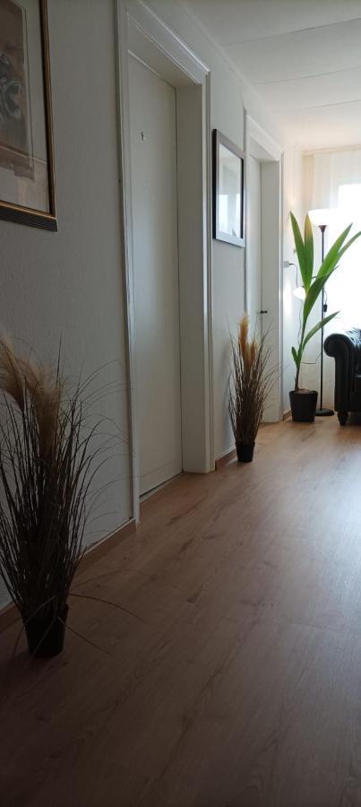 Ntn House Bed & Breakfast St. Gallen Exterior foto